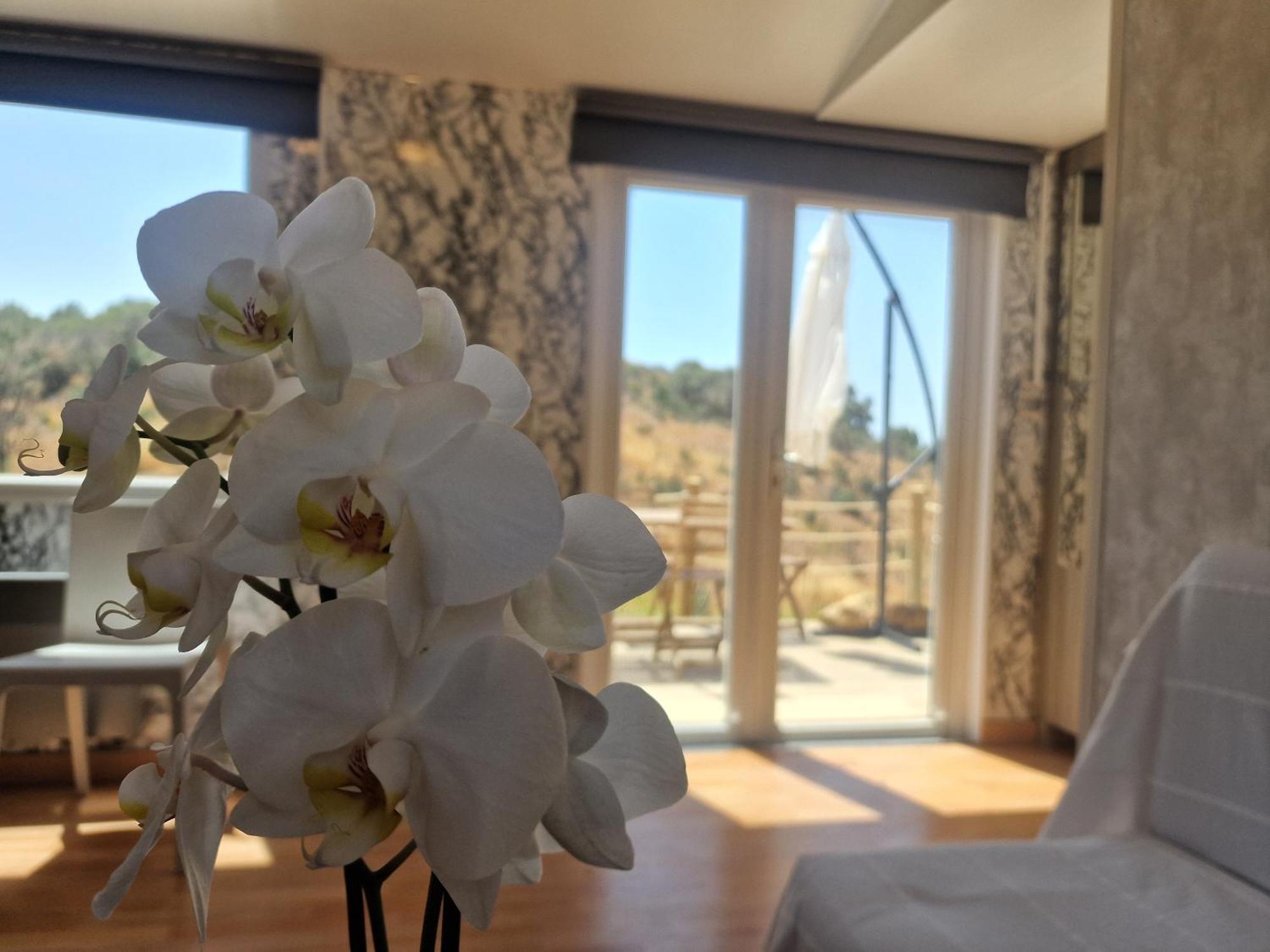 Aa Guest - La Roza Eco Mobile Mijas Costa Ferienhaus *
